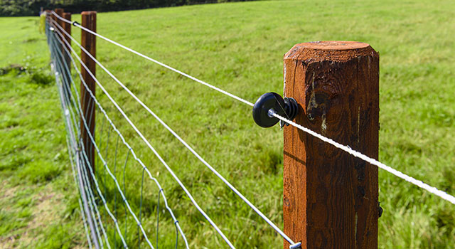 Electric fence wire running along a fence in the middle of a field.