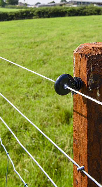 Electric fence wire running along a fence in the middle of a field.