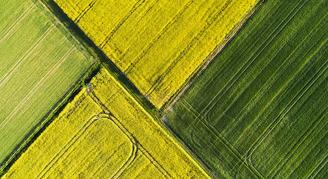 Abstract agricultural area in spring - aerial view