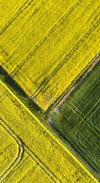 Abstract agricultural area in spring - aerial view