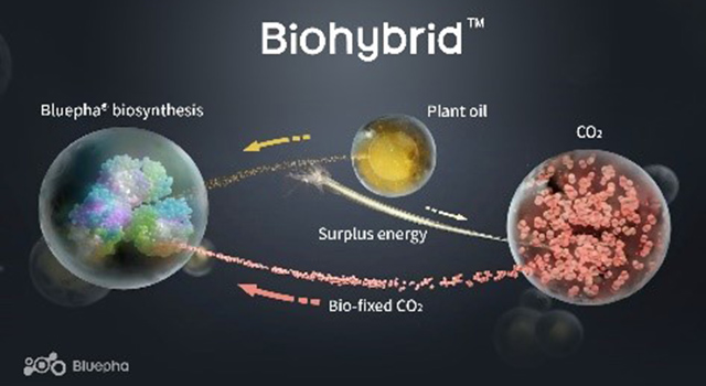 A Low Carbon Synthesis Technology for Natural Organic Material PHA