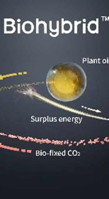 A Low Carbon Synthesis Technology for Natural Organic Material PHA