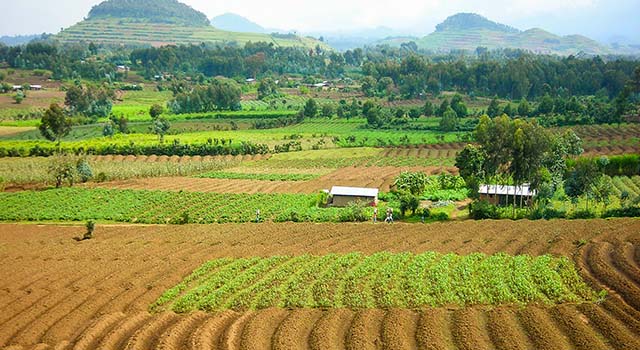olcanic soils and cinder cones former AUCA campus Mudende Rwanda