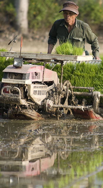 Rice Planter and Farmer in Taiwan