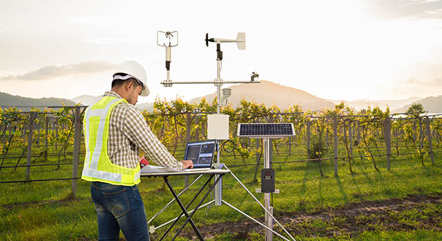 Agronomist using tablet computer collect data with meteorological instrument to measure the wind speed, temperature and humidity and solar cell system in grape agricultural field, Smart farm concept