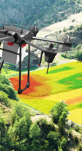 House on the green hill in mountains