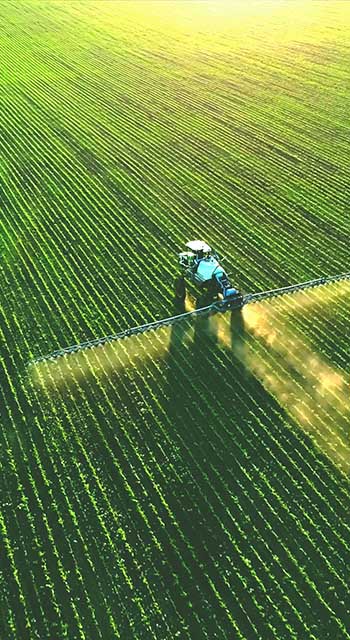 Close up image of hands holding animal feed at a stock yard
