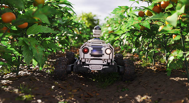 Agricultural robot surveilling a tomato field