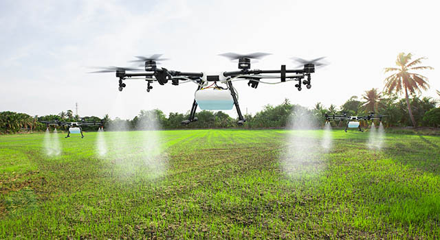 Agriculture drone fly to sprayed fertilizer on the sweet corn fields