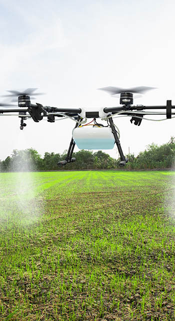 Agriculture drone fly to sprayed fertilizer on the sweet corn fields