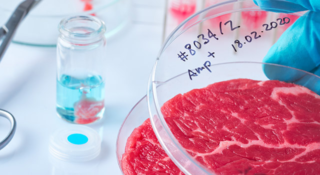 Meat sample in open disposable plastic cell culture dish in modern laboratory or production facility. Concept of cultured meat, cellular agriculture, slaughter-free eco friendly concept.