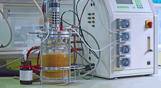 Ethanol production in laboratory fermentor or fermenter