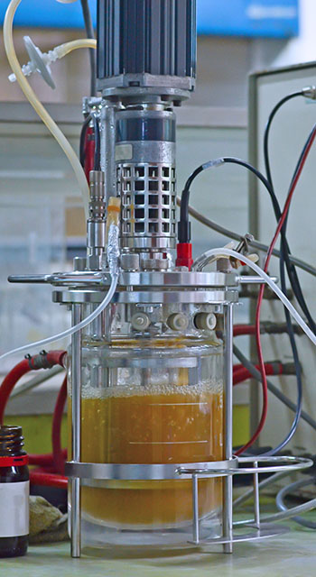 Ethanol production in laboratory fermentor or fermenter