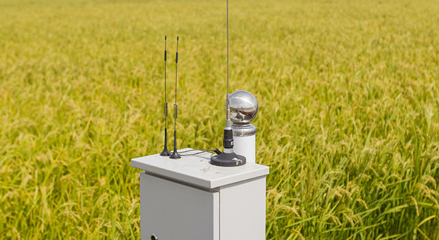 Soil moisture monitoring station,in the rice field, Heilongjiang, China.