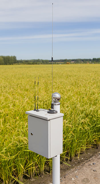 Soil moisture monitoring station,in the rice field, Heilongjiang, China.