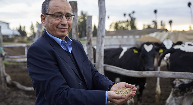 man holding cattle feed in his hands