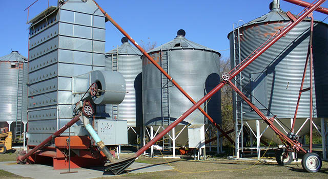 Grain dryer on left, surrounded by metal grain storage bins, with several grain augers to transfer grain from the dryer to the bins. Located on a farm in central Saskatchewan, Canada.