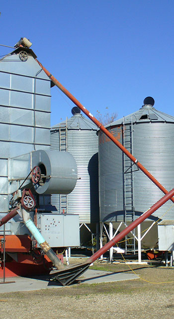 Grain dryer on left, surrounded by metal grain storage bins, with several grain augers to transfer grain from the dryer to the bins. Located on a farm in central Saskatchewan, Canada.