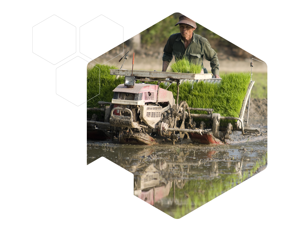 Rice Planter and Farmer in Taiwan