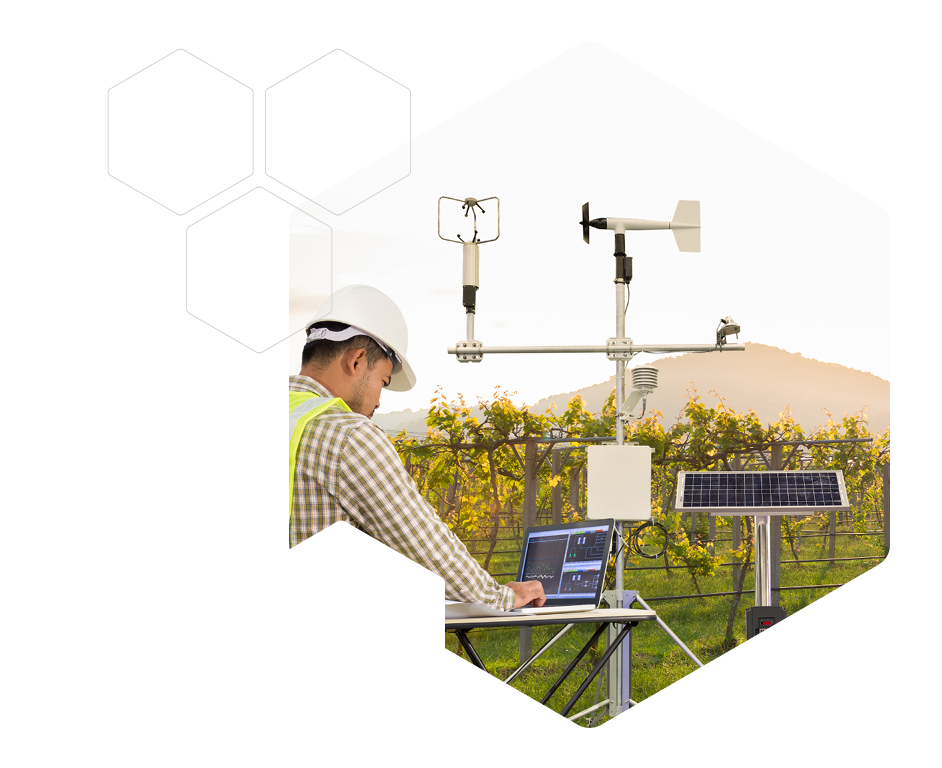Agronomist using tablet computer collect data with meteorological instrument to measure the wind speed, temperature and humidity and solar cell system in grape agricultural field, Smart farm concept