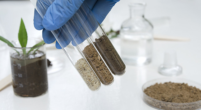 Laboratory assistant working with plants, different kinds of soil and sand, testing and analyzing results