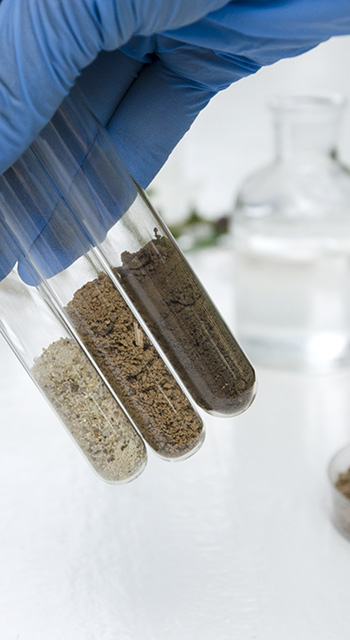 Laboratory assistant working with plants, different kinds of soil and sand, testing and analyzing results