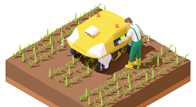 Vector isometric agricultural robot EV working in crop field. Multifunctional farming robot. Smart farming. Robot removing weeds from row crops. Farmer programming robotic tractor