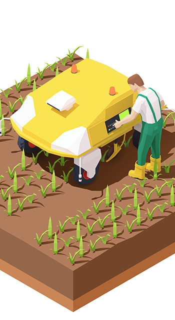 Vector isometric agricultural robot EV working in crop field. Multifunctional farming robot. Smart farming. Robot removing weeds from row crops. Farmer programming robotic tractor