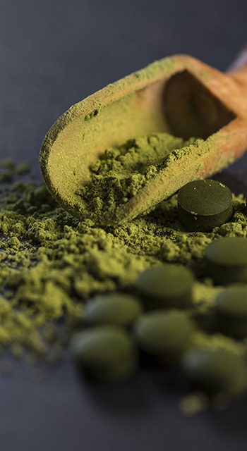 Organic spirulina powder and tablets shot on a slate