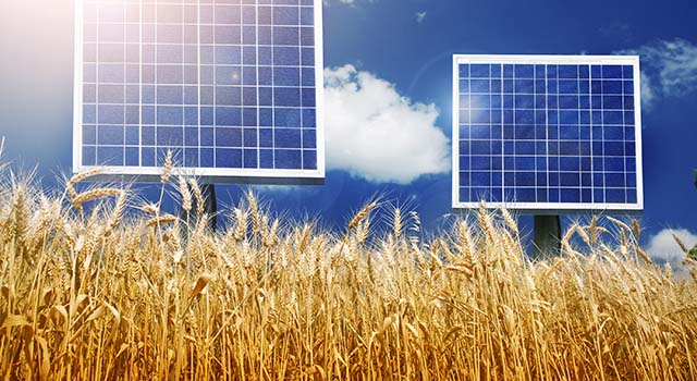 Close up picture to photovoltaic array panels in a rawMore photovoltaic panels pictures: