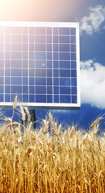 Close up picture to photovoltaic array panels in a rawMore photovoltaic panels pictures: